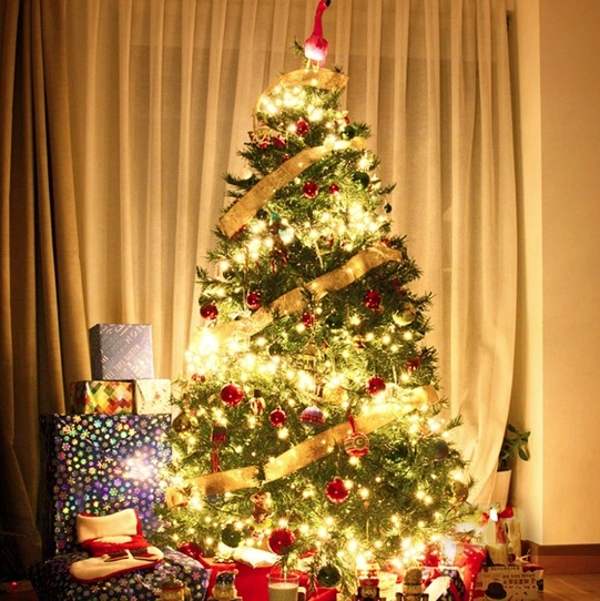 LED Fairy String Lights