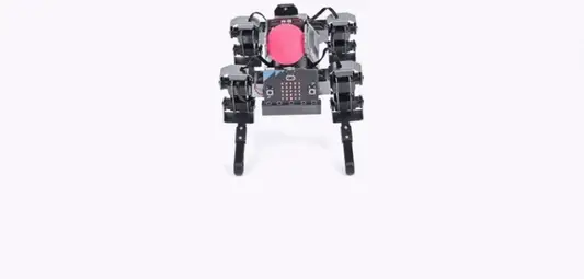 XGO Robot Dog moving