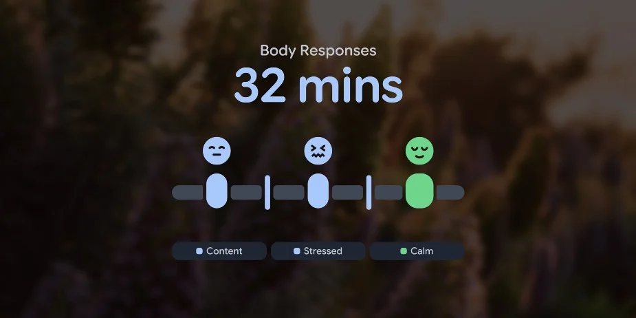 Google Pixel Watch 4: Body responses